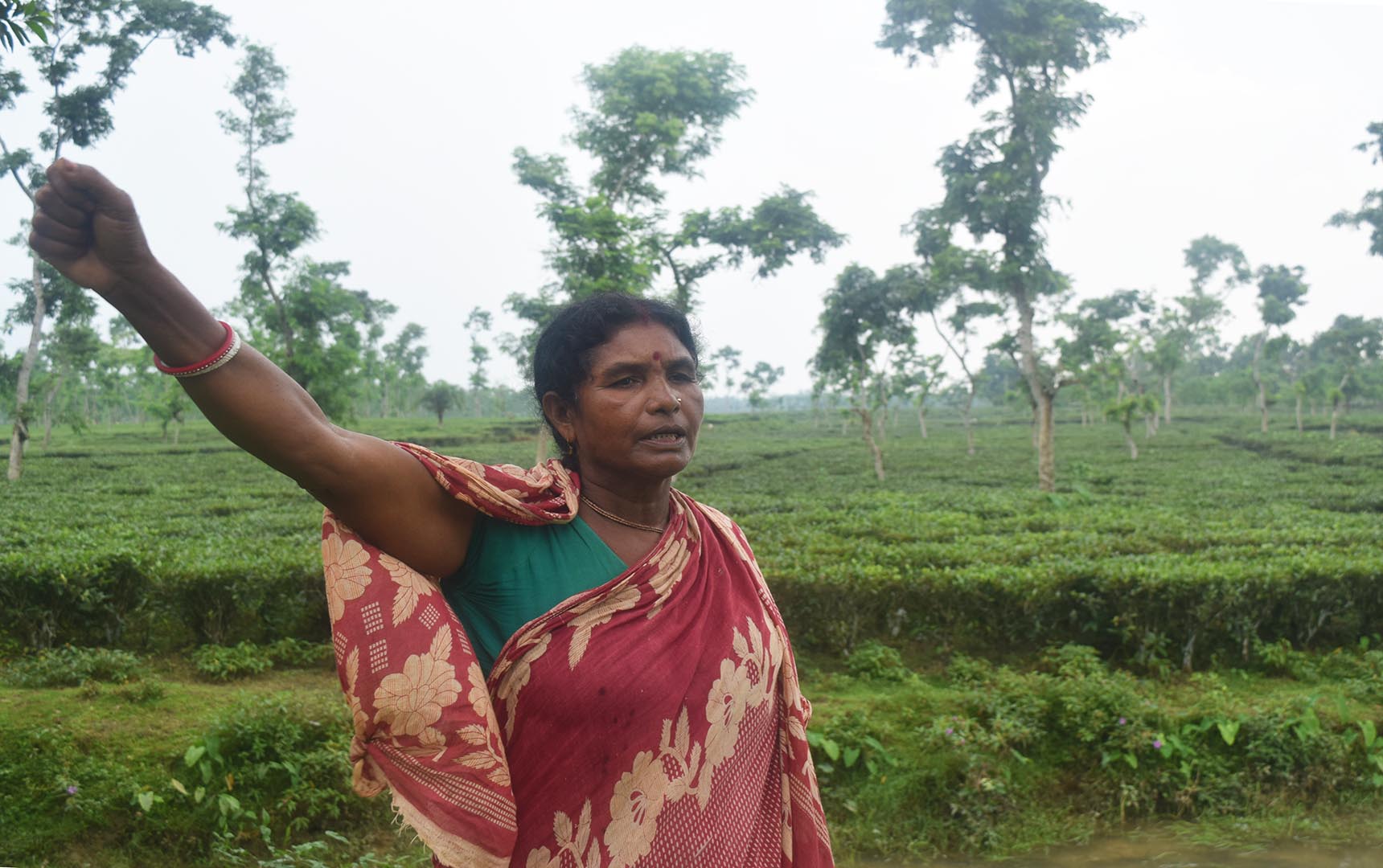 Tea Workers Leader